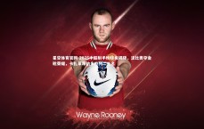 星空体育官网-2025中超射手榜终极揭晓，法比奥夺金靴荣耀，卡扎莱昂纳多位列二三名