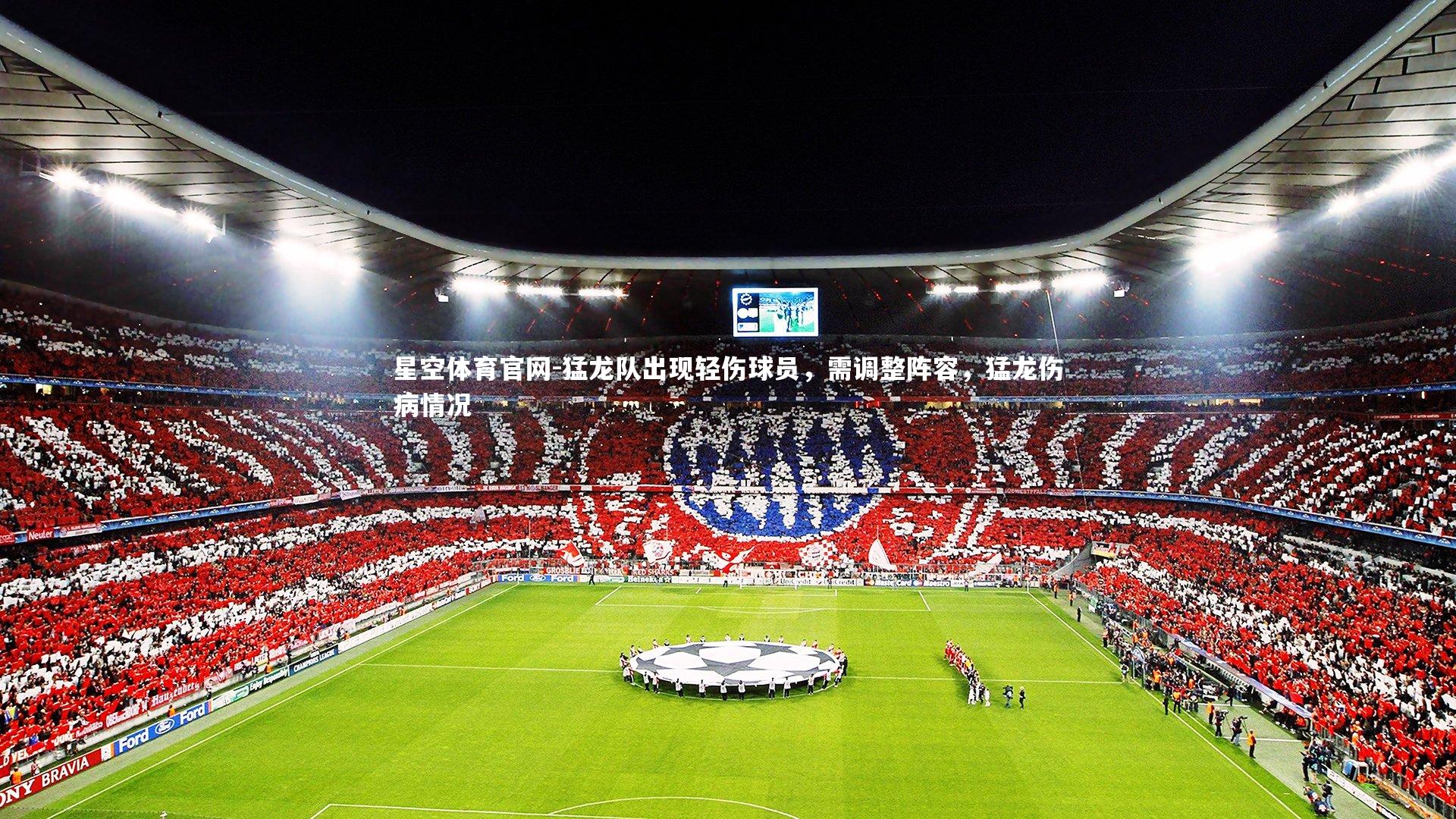 猛龙队出现轻伤球员，需调整阵容，猛龙伤病情况