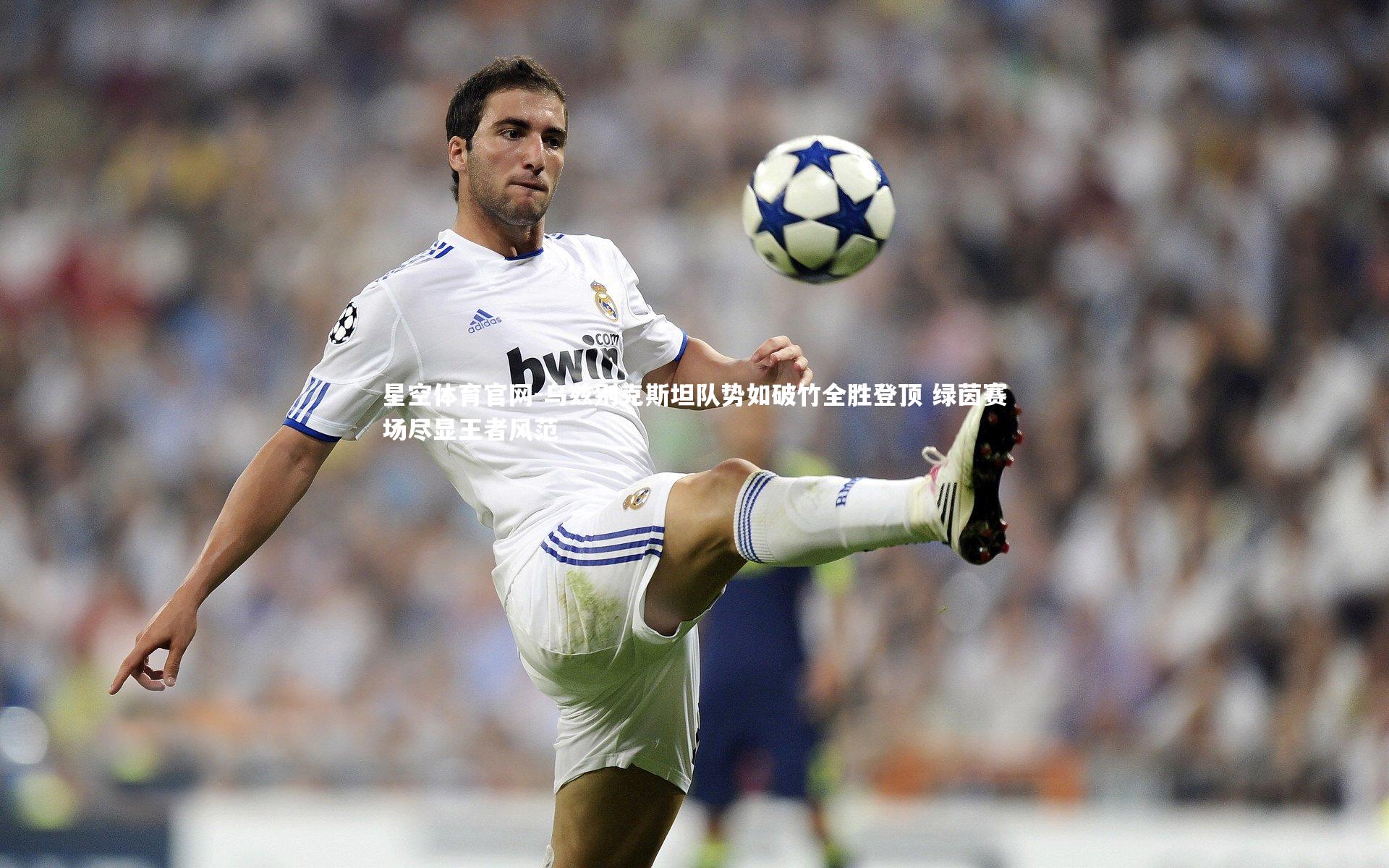 乌兹别克斯坦队势如破竹全胜登顶 绿茵赛场尽显王者风范