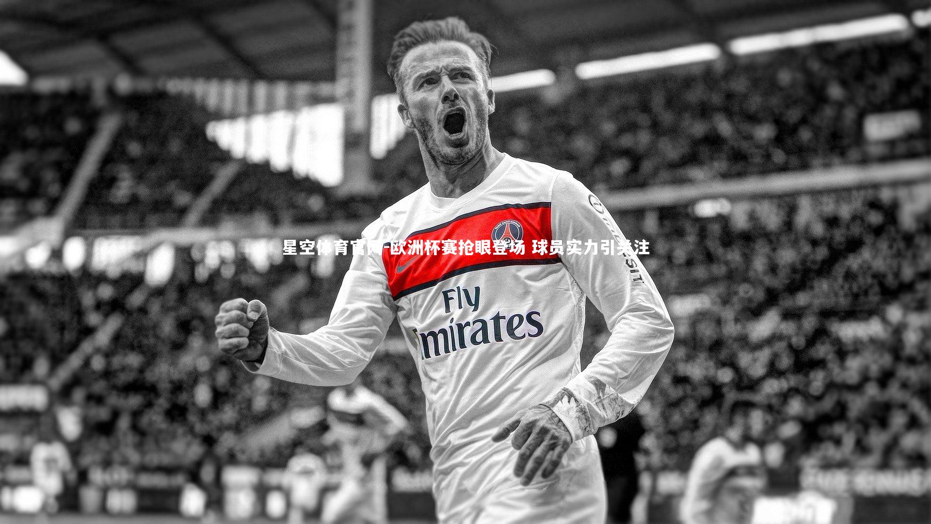 欧洲杯赛抢眼登场 球员实力引关注