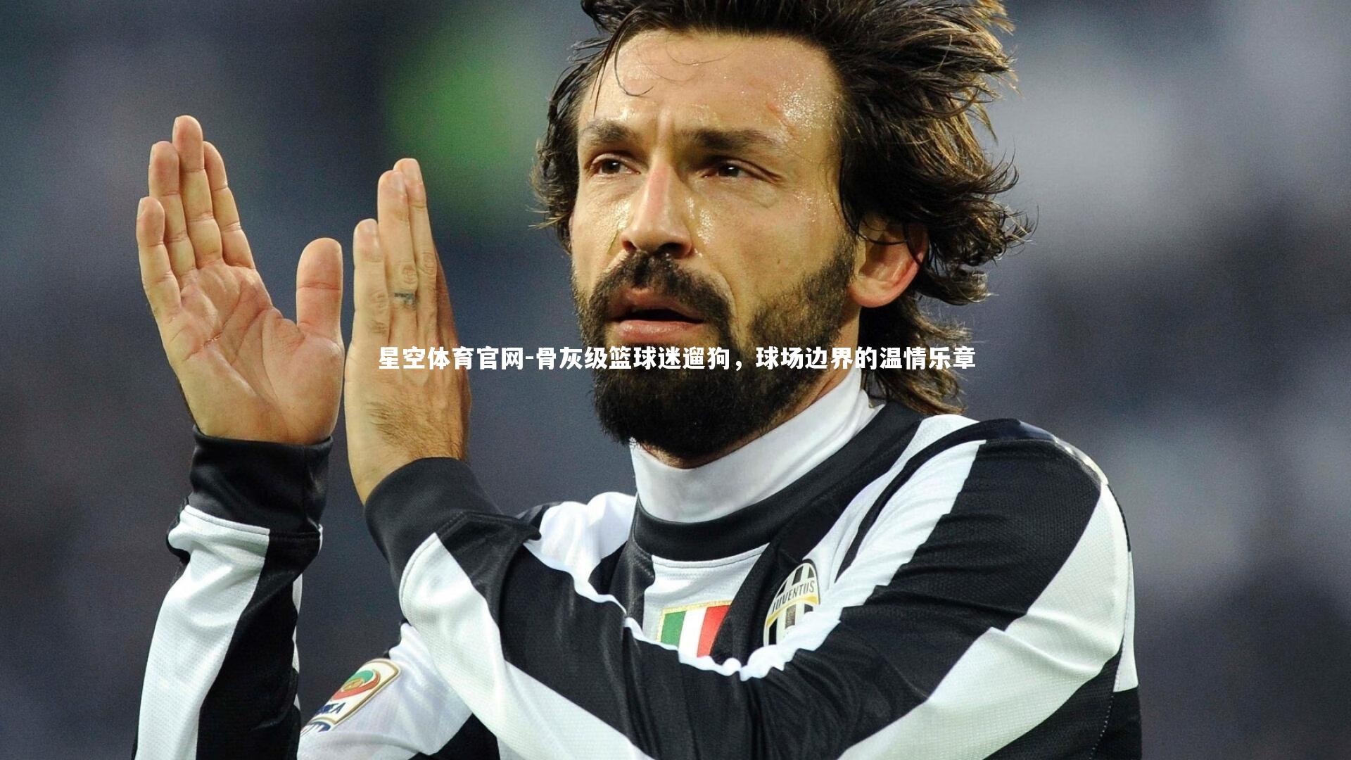 骨灰级篮球迷遛狗,球场边界的温情乐章